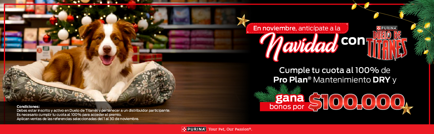 Estado de Cuenta Noviembre